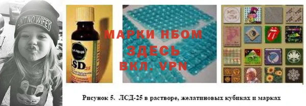 дживик Баксан
