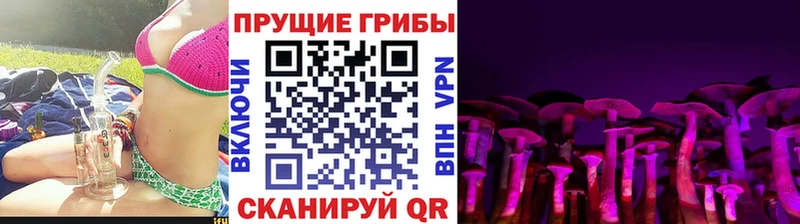 мориарти наркотические препараты  Геленджик  Галлюциногенные грибы Psilocybine cubensis 