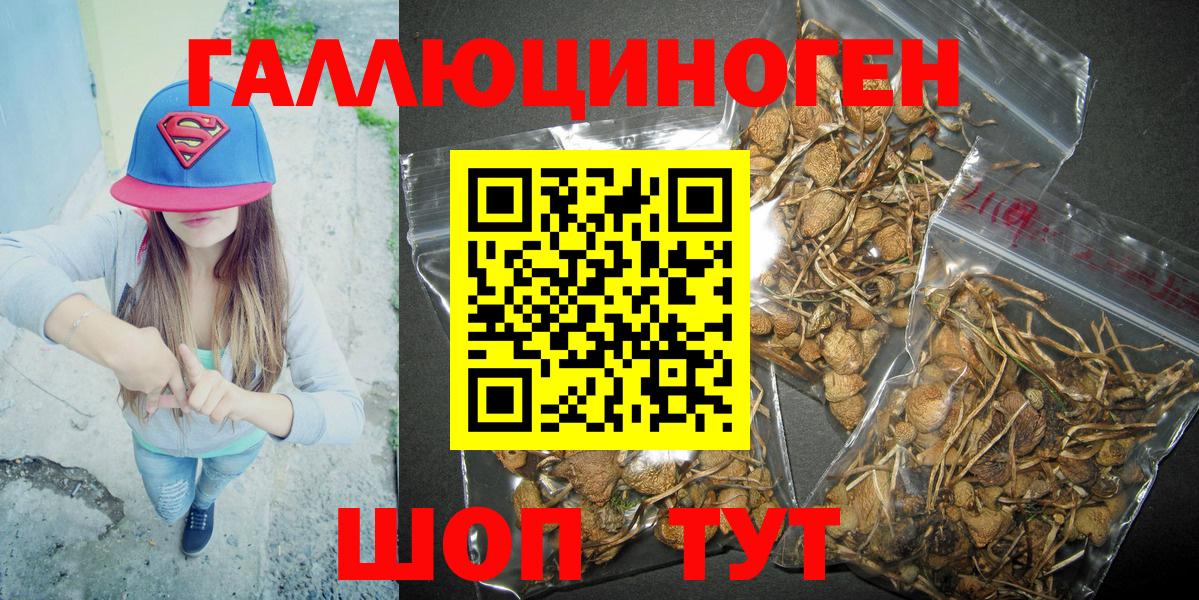 Галлюциногенные грибы Psilocybe  Галлюциногенные грибы мицелий  Геленджик  Вход с VPN 