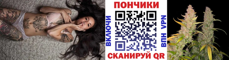 как найти закладки  Геленджик  Бошки марихуана сатива 